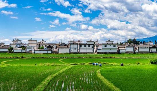 太阳成集团tyc122cc