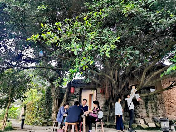 太阳成集团tyc122cc