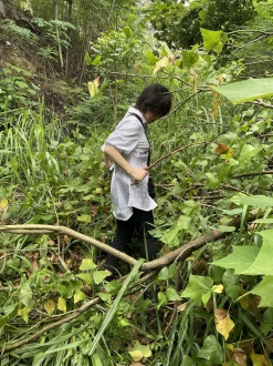 太阳成集团tyc122cc