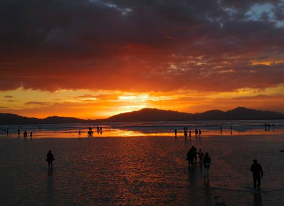 太阳成集团tyc122cc