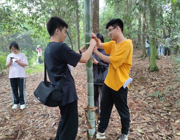 太阳成集团tyc122cc