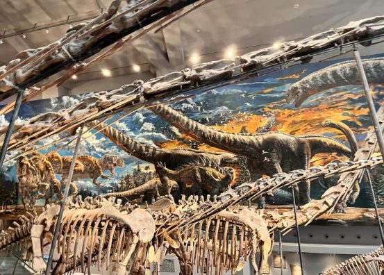 太阳成集团tyc122cc