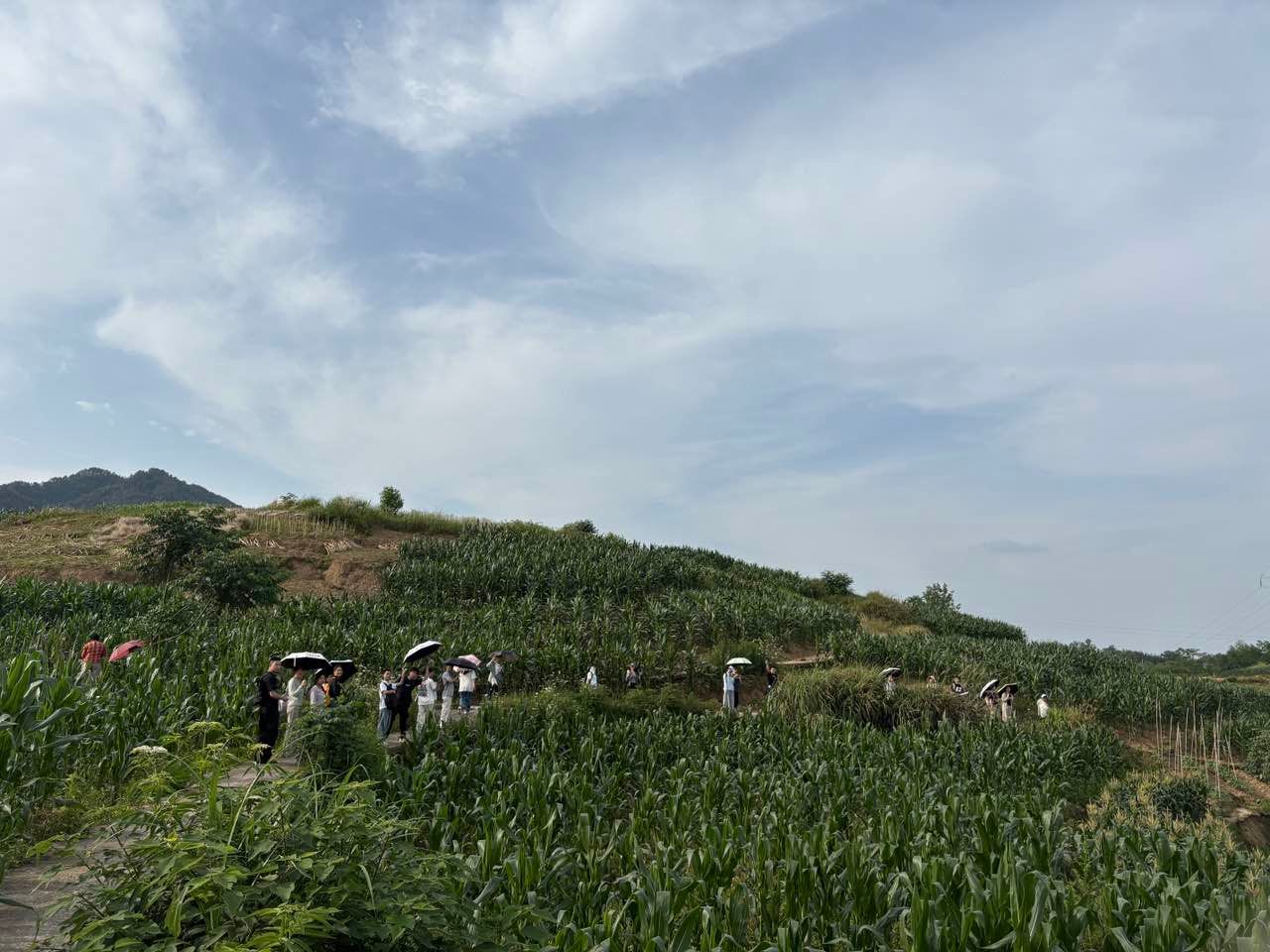 太阳成集团tyc122cc