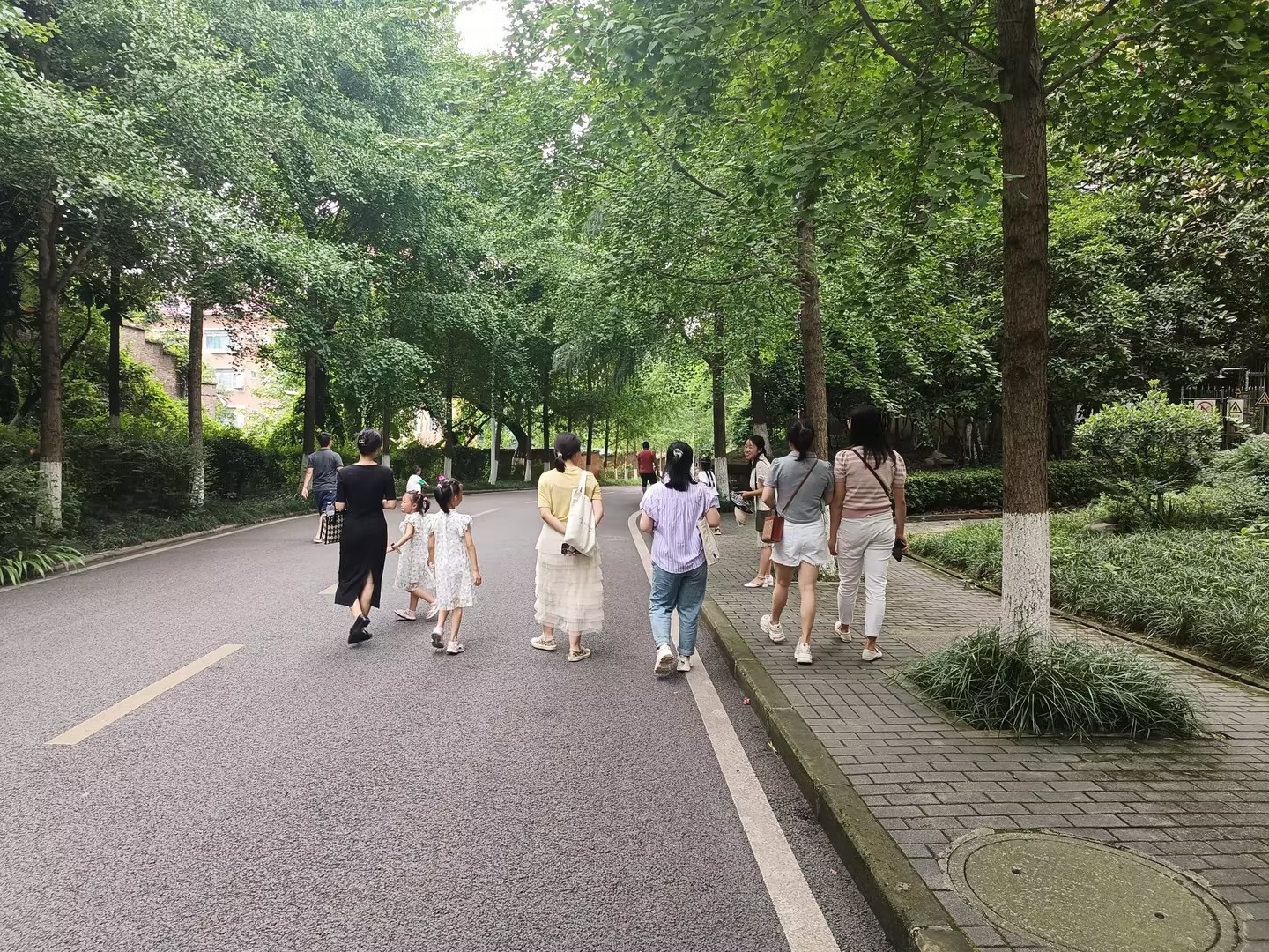 太阳成集团tyc122cc