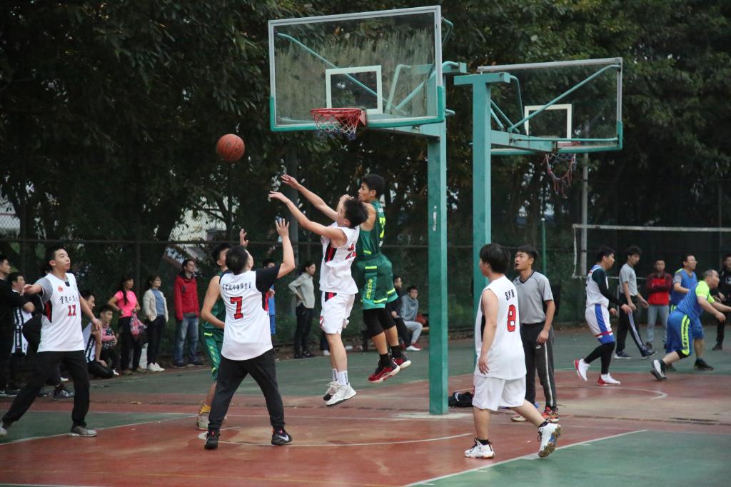 太阳成集团tyc122cc